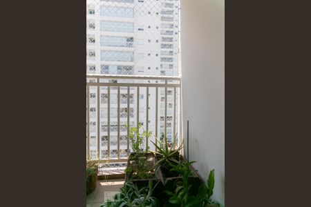 Apartamento para alugar com 59m², 2 quartos e 1 vaga Apartamento para alugar com 59m², 2 quartos e 1 vagaSacada