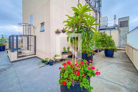 Apartamento para alugar com 85m², 2 quartos e 1 vagaÁrea comum - Terraço