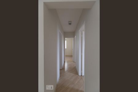Corredor de apartamento para alugar com 3 quartos, 80m² em Vila Ema, São Paulo
