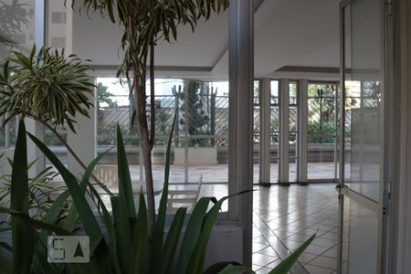 Apartamento para alugar com 110m², 3 quartos e 2 vagas Apartamento para alugar com 110m², 3 quartos e 2 vagasÁrea comum - Salão de festas