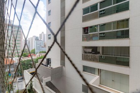 Vista Sala de apartamento para alugar com 2 quartos, 88m² em Lourdes, Belo Horizonte