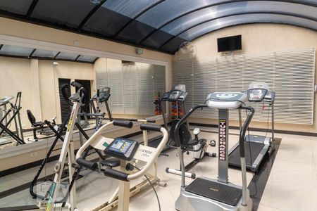 Apartamento para alugar com 253m², 4 quartos e 4 vagas Apartamento para alugar com 253m², 4 quartos e 4 vagasÁrea comum - Academia