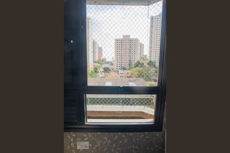 Apartamento para alugar com 253m², 4 quartos e 4 vagas Apartamento para alugar com 253m², 4 quartos e 4 vagasVista da Suíte Master