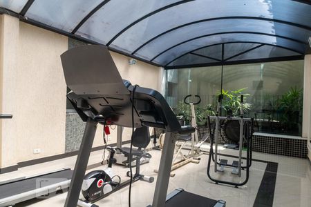 Apartamento para alugar com 253m², 4 quartos e 4 vagas Apartamento para alugar com 253m², 4 quartos e 4 vagasÁrea comum - Academia