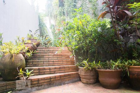 Casa para alugar com 244m², 3 quartos e 2 vagasJardim Lateral