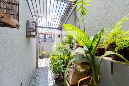 Casa à venda com 600m², 5 quartos e 2 vagasCasa 1: Quintal