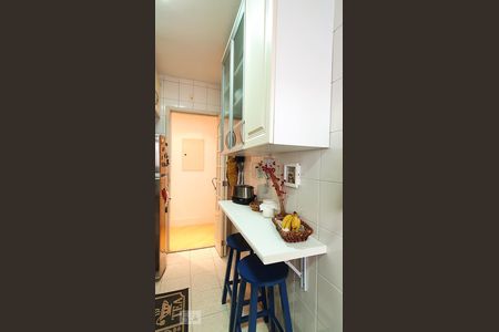 Cozinha de apartamento à venda com 2 quartos, 60m² em Vila Leopoldina, São Paulo
