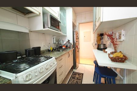 Cozinha de apartamento à venda com 2 quartos, 60m² em Vila Leopoldina, São Paulo