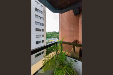 Apartamento para alugar com 223m², 3 quartos e 4 vagas Apartamento para alugar com 223m², 3 quartos e 4 vagasVaranda