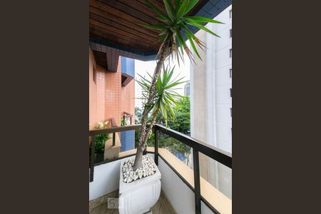 Apartamento para alugar com 223m², 3 quartos e 4 vagas Apartamento para alugar com 223m², 3 quartos e 4 vagasVaranda