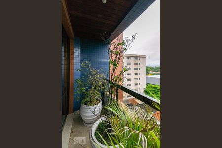 Apartamento para alugar com 223m², 3 quartos e 4 vagas Apartamento para alugar com 223m², 3 quartos e 4 vagasVaranda