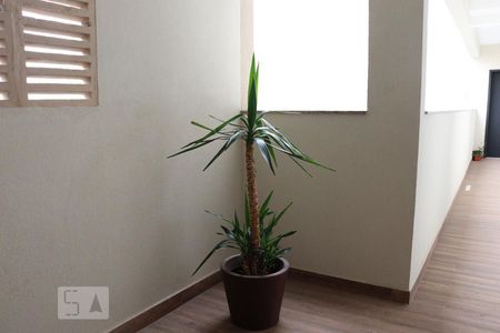 Studio para alugar com 27m², 1 quarto e sem vagaÁrea comum