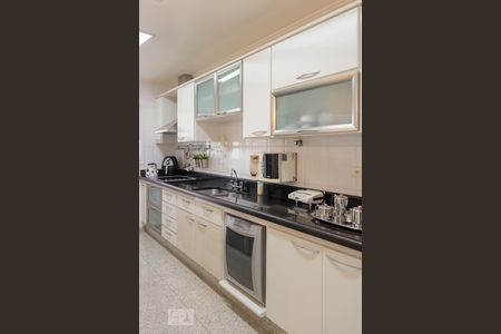 Apartamento à venda com 156m², 5 quartos e 3 vagasCozinha - Armários