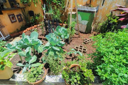 Casa à venda com 420m², 4 quartos e 4 vagasHortinha