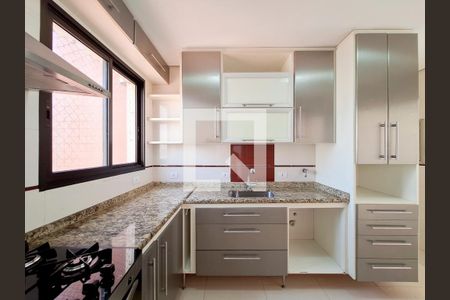 Apartamento para alugar com 106m², 3 quartos e 2 vagas Apartamento para alugar com 106m², 3 quartos e 2 vagasCozinha