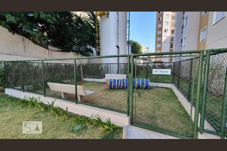 Apartamento para alugar com 40m², 2 quartos e sem vaga Apartamento para alugar com 40m², 2 quartos e sem vagaÁrea comum - Pet Place