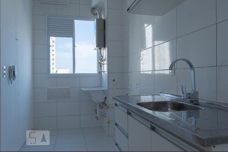 Cozinha de apartamento para alugar com 2 quartos, 42m² em Bom Retiro, São Paulo