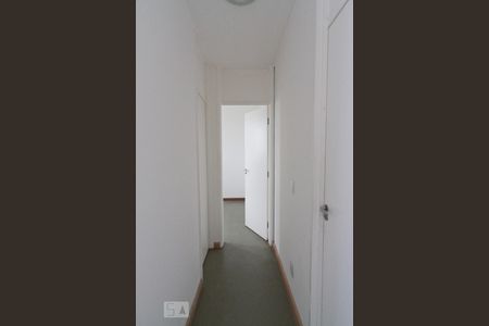 Corredor de apartamento à venda com 2 quartos, 50m² em Jardim Íris, São Paulo