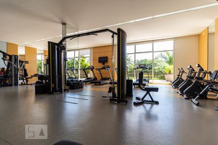 Apartamento para alugar com 110m², 2 quartos e sem vaga Apartamento para alugar com 110m², 2 quartos e sem vagaÁrea Comum: Academia
