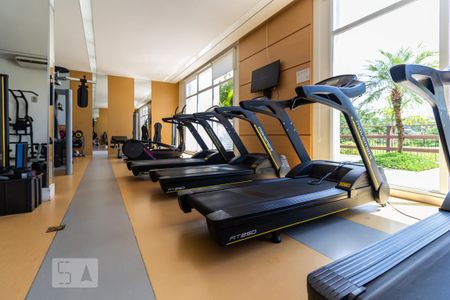 Apartamento para alugar com 110m², 2 quartos e sem vaga Apartamento para alugar com 110m², 2 quartos e sem vagaÁrea Comum: Academia