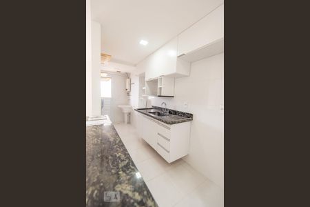 Cozinha de apartamento para alugar com 2 quartos, 52m² em Casa Branca, Santo André