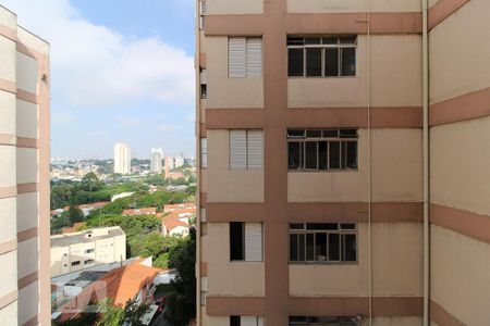 Apartamento para alugar com 65m², 2 quartos e 1 vagaVista da Suíte