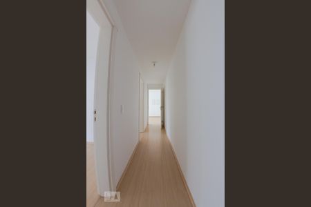 Corredor de apartamento para alugar com 2 quartos, 68m² em Passo da Areia, Porto Alegre