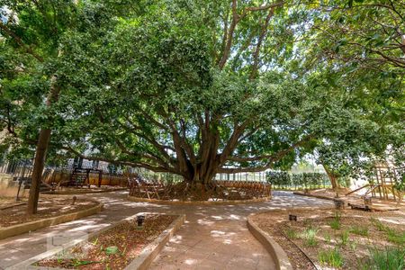 Apartamento à venda com 60m², 2 quartos e 1 vagaBosque