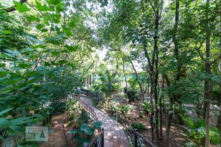 Apartamento à venda com 50m², 2 quartos e 1 vaga Apartamento à venda com 50m², 2 quartos e 1 vagaBosque