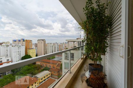 Apartamento à venda com 260m², 1 quarto e 2 vagasTerraço