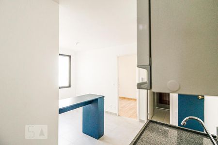 Apartamento para alugar com 34m², 2 quartos e sem vagaCozinha