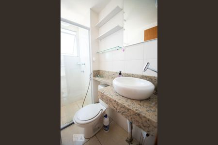 banheiro de apartamento para alugar com 2 quartos, 56m² em Jardim Anton Von Zuben, Campinas