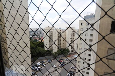 Apartamento para alugar com 70m², 2 quartos e 1 vagaVista do Quarto 1