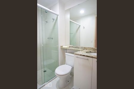 Banheiro de apartamento para alugar com 2 quartos, 52m² em Parque Reboucas, São Paulo