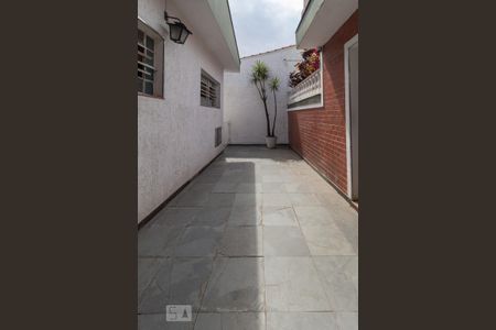 Casa para alugar com 300m², 3 quartos e sem vagaQuintal