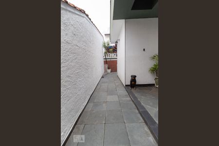 Casa para alugar com 300m², 3 quartos e sem vagaEntrada