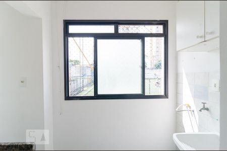 Lavanderia de apartamento para alugar com 2 quartos, 58m² em Vila Santa Catarina, São Paulo