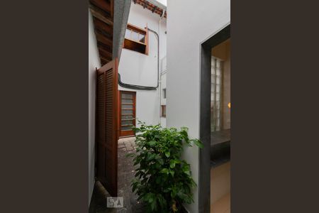 Casa para alugar com 250m², 3 quartos e 1 vaga Casa para alugar com 250m², 3 quartos e 1 vagaQuintal