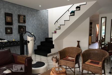 Sala de casa à venda com 3 quartos, 250m² em Vila Basileia, São Paulo