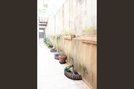 Casa à venda com 250m², 3 quartos e 2 vagas Casa à venda com 250m², 3 quartos e 2 vagasQuintal