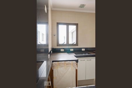 Apartamento à venda com 330m², 4 quartos e 4 vagasCozinha