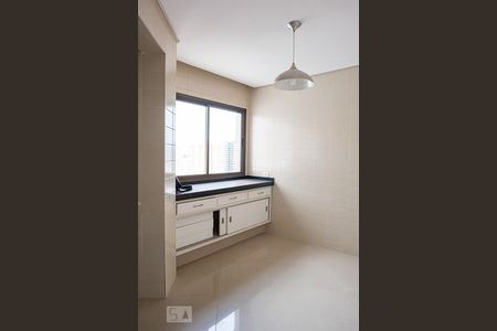 Apartamento à venda com 330m², 4 quartos e 4 vagasCozinha