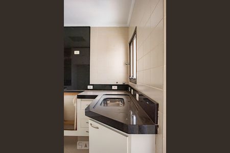 Apartamento à venda com 330m², 4 quartos e 4 vagasCozinha