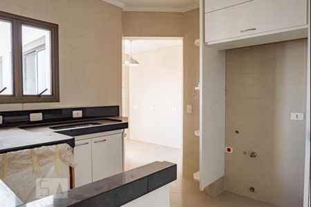 Apartamento à venda com 330m², 4 quartos e 4 vagasCozinha
