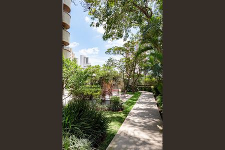 Apartamento à venda com 330m², 4 quartos e 4 vagasÁrea comum