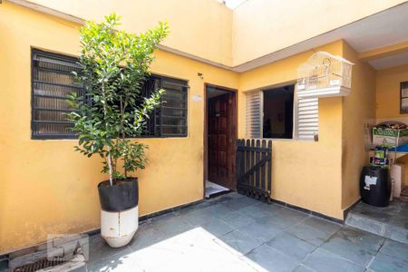 Apartamento à venda com 250m², 3 quartos e 4 vagasÁrea Externa - Casa Fundos