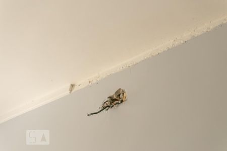 Apartamento à venda com 240m², 4 quartos e 4 vagasDetalhe