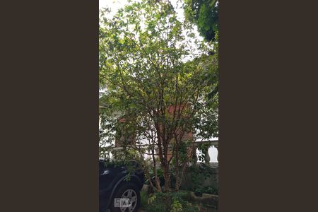 Casa à venda com 297m², 4 quartos e 6 vagas Casa à venda com 297m², 4 quartos e 6 vagasJabuticabeira