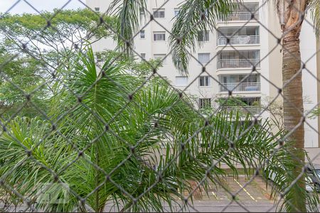 Apartamento para alugar com 69m², 3 quartos e 1 vagaVista do Quarto 1