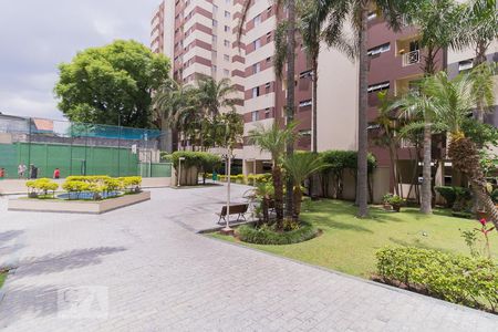 Apartamento para alugar com 55m², 2 quartos e 1 vaga Apartamento para alugar com 55m², 2 quartos e 1 vagaÁrea comum